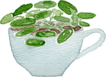 Watercolor teacup plant icon symbolizing soul-tending, sacred rest, and Christ-centered renewal.
